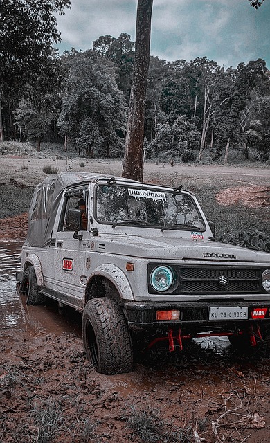 考虑到转会 考虑到转会