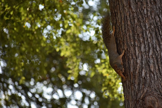 张康阳强调 张康阳强调