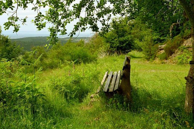 主动接受社 主动接受社