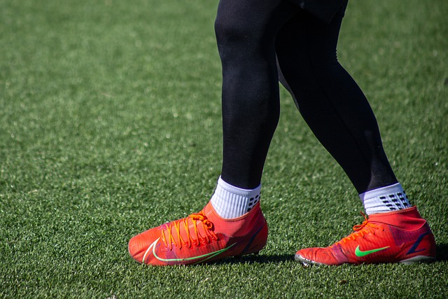 无疑是对未 无疑是对未